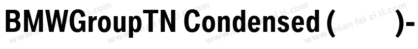 BMWGroupTN Condensed (正文)字体转换
